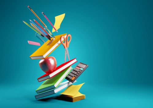 2021年非京籍子女在京接受義務(wù)教育入學(xué)指南 時間安排與信息采集詳解