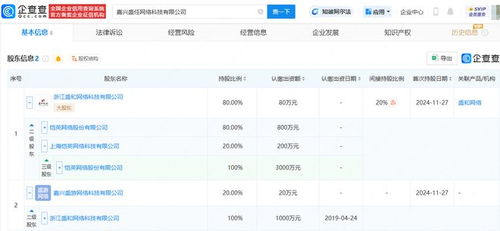 愷英網(wǎng)絡(luò)嘉興布局 投資成立網(wǎng)絡(luò)科技公司，拓展信息技術(shù)咨詢服務(wù)新賽道